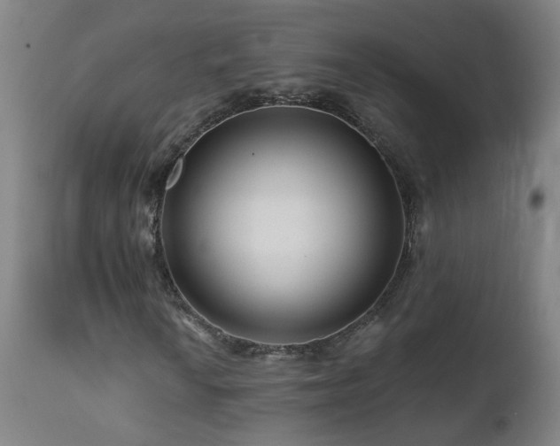 X0000112061010200908041209