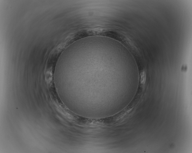 X0000112061011200908041209