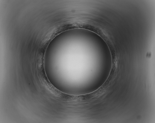 X0000112061012200908041209