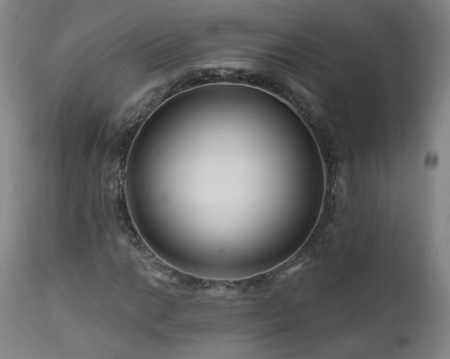 X0000112061014200908041209
