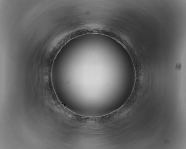 X0000112061016200908041209