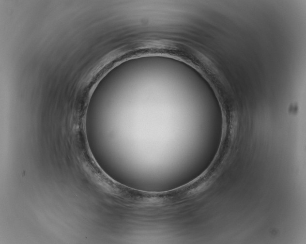 X0000112061017200908041209