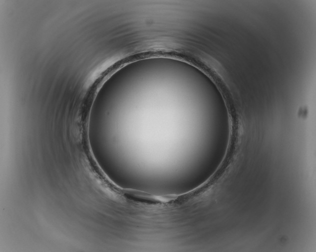 X0000112061018200908041209