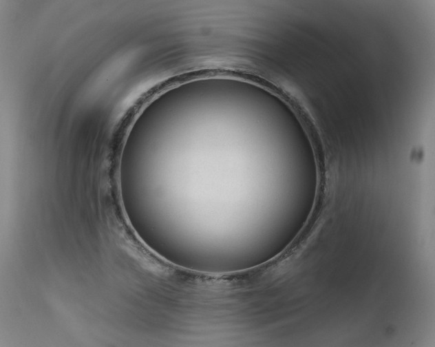 X0000112061019200908041209