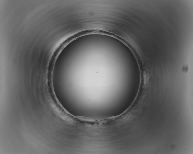 X0000112061020200908041209