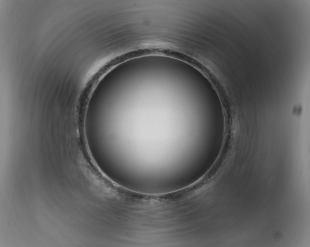 X0000112061022200908041210