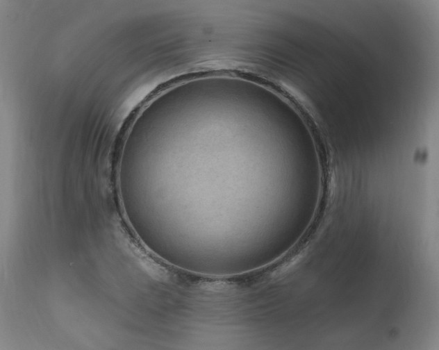 X0000112061023200908041210