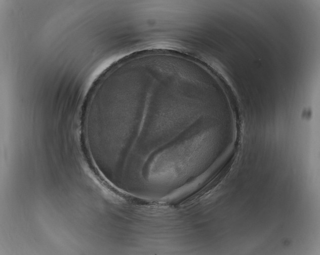 X0000112061024200908041210