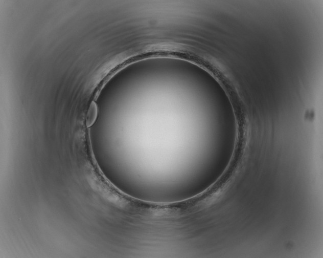 X0000112061025200908041210