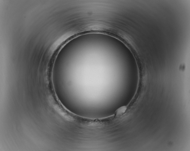 X0000112061026200908041210