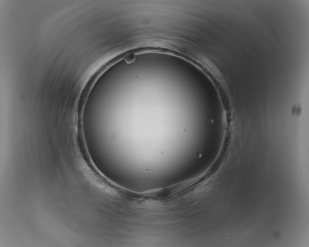 X0000112061028200908041210