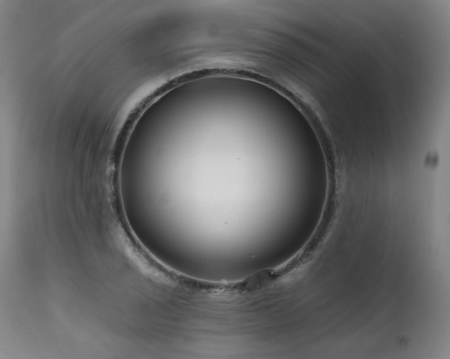 X0000112061029200908041210