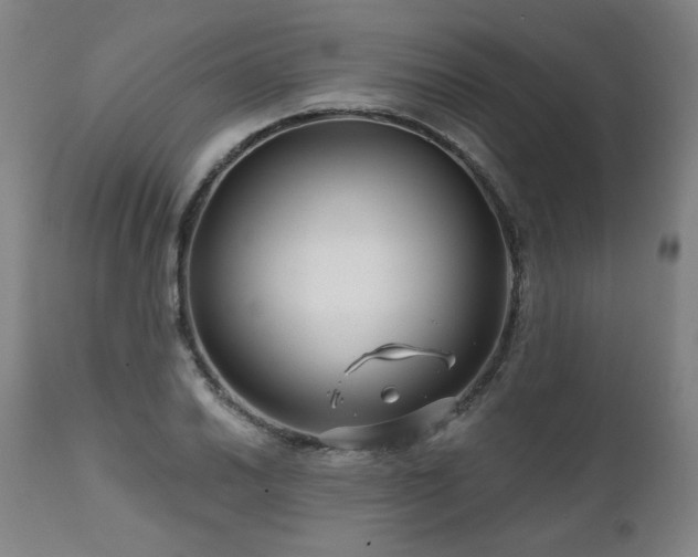 X0000112061030200908041210