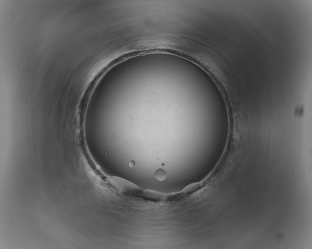 X0000112061031200908041210