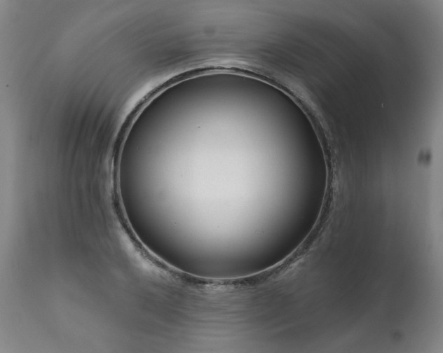 X0000112061032200908041210
