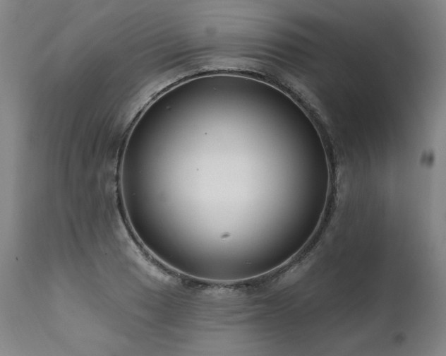 X0000112061033200908041210