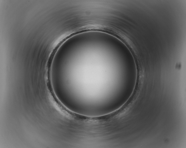 X0000112061034200908041210