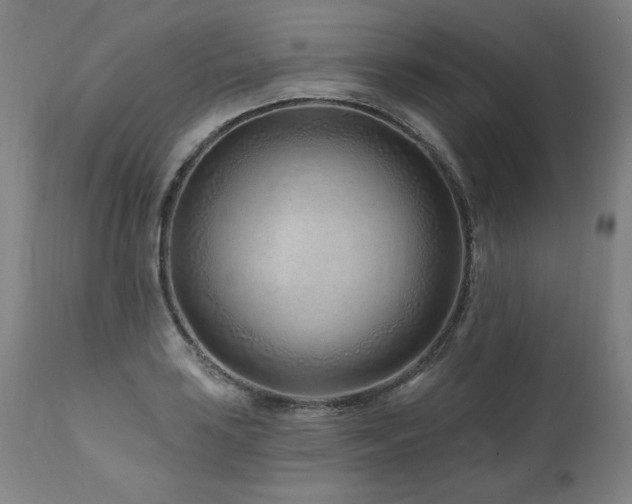X0000112061035200908041210