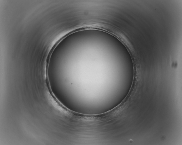 X0000112061036200908041210
