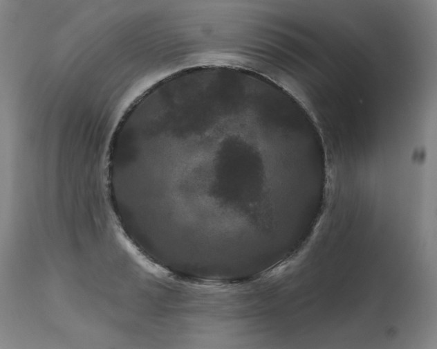 X0000112061037200908041210