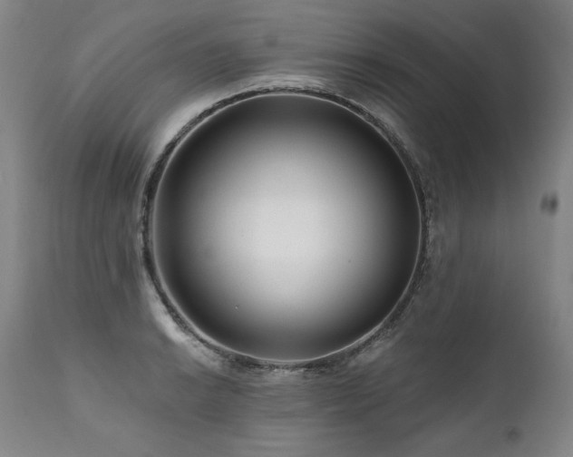 X0000112061038200908041210