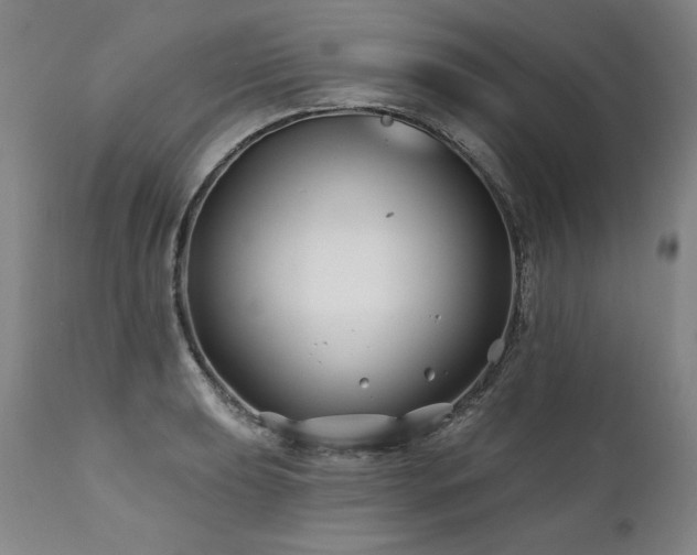 X0000112061039200908041210