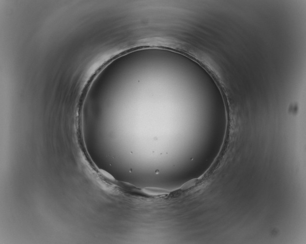 X0000112061040200908041210
