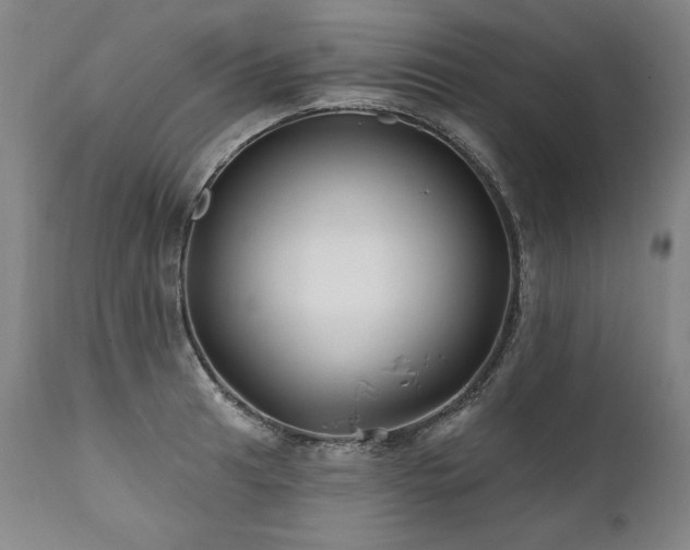X0000112061041200908041210