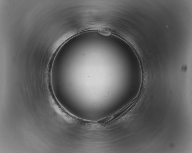 X0000112061042200908041210