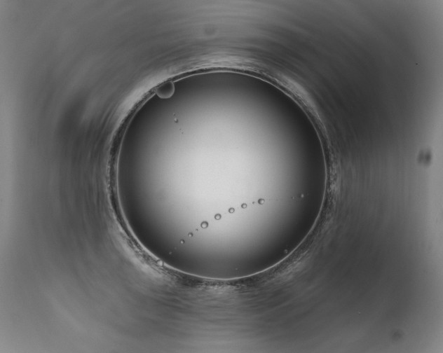 X0000112061043200908041210