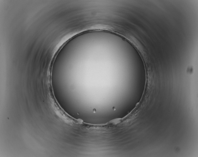 X0000112061044200908041210