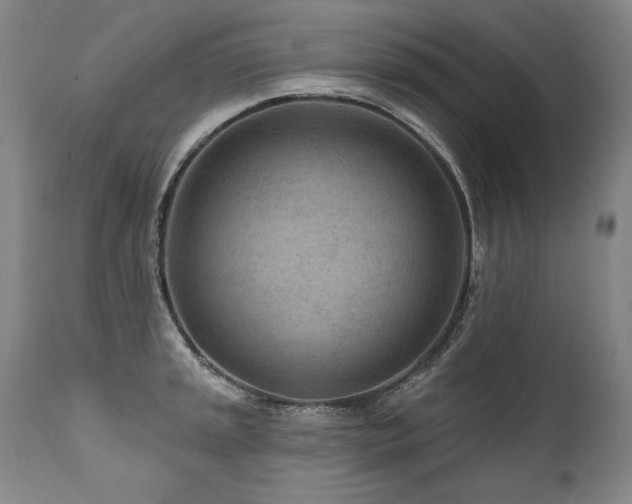 X0000112061045200908041210