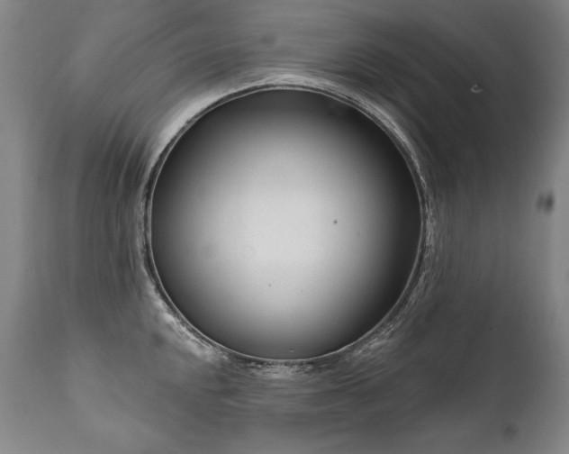 X0000112061048200908041210