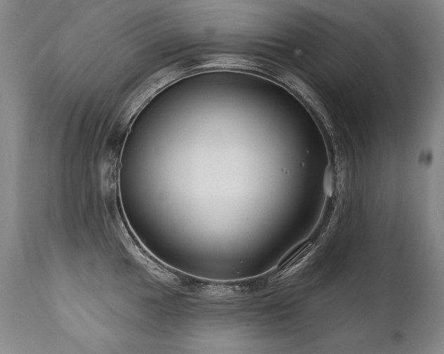 X0000112061049200908041210