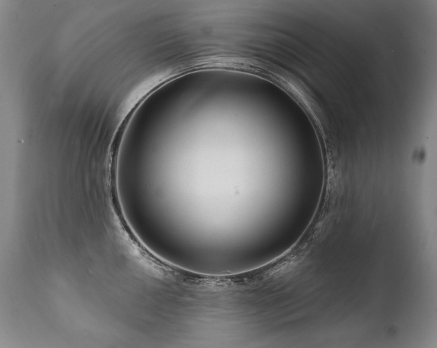 X0000112061050200908041210