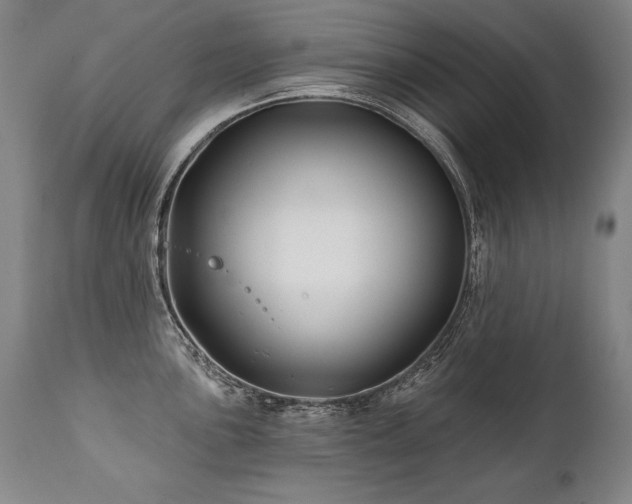 X0000112061051200908041210