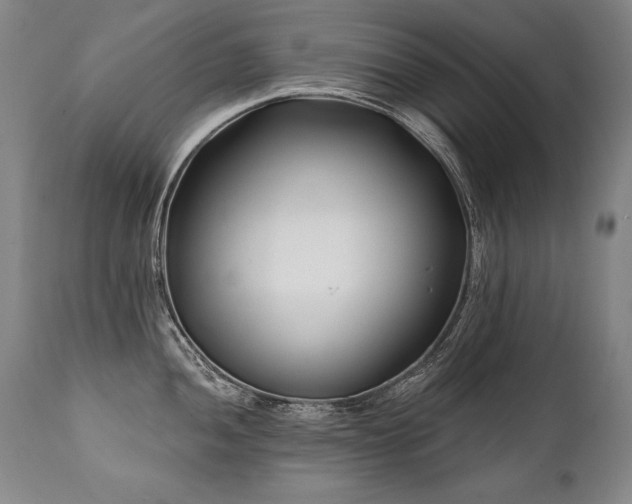 X0000112061052200908041210