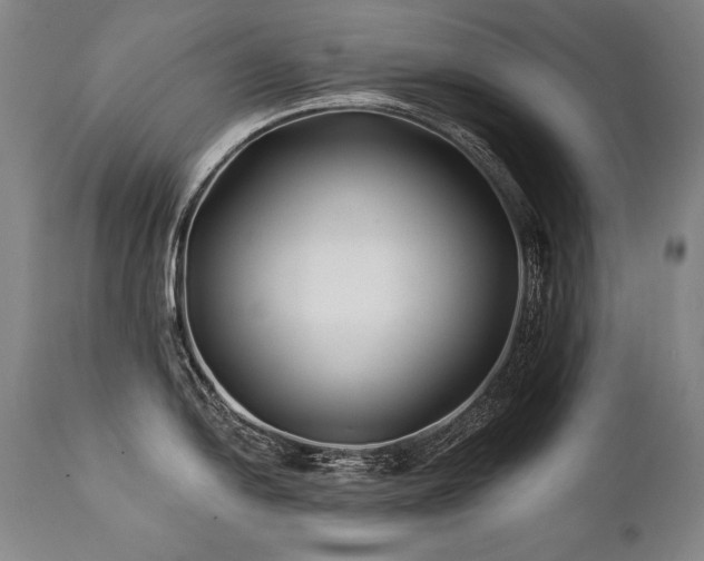 X0000112061054200908041210