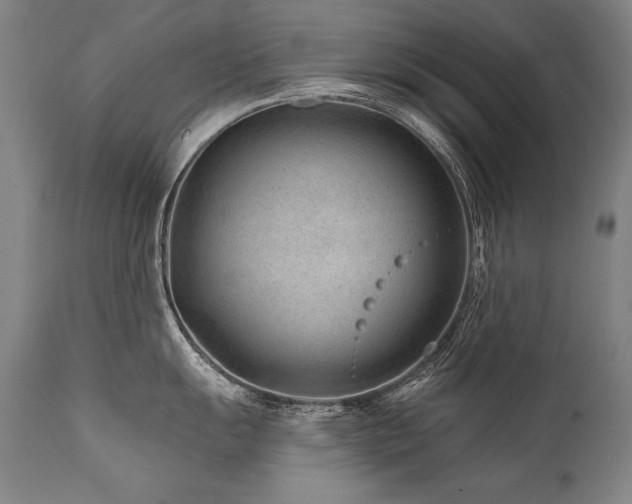 X0000112061055200908041210