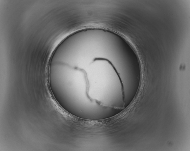 X0000112061056200908041210