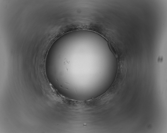 X0000112061057200908041209