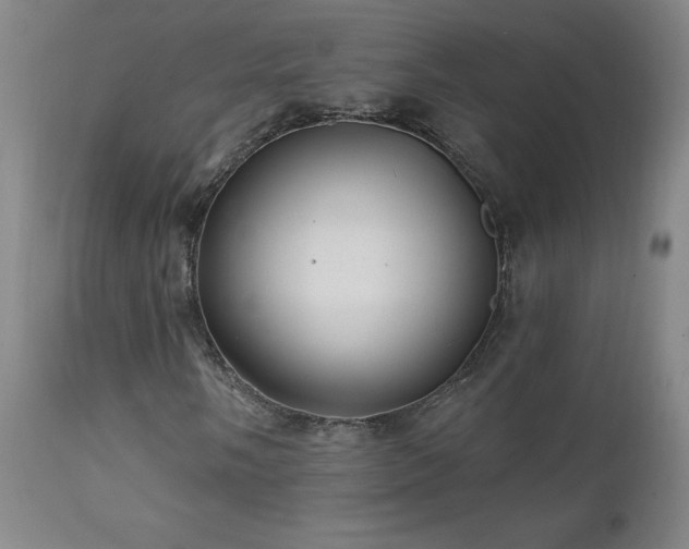 X0000112061058200908041209