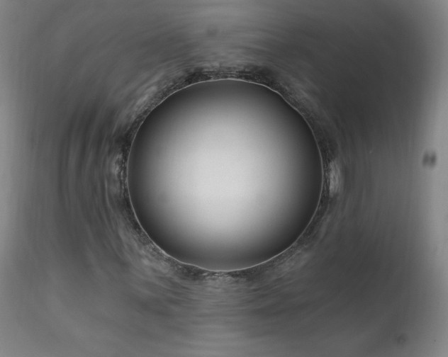 X0000112061059200908041209