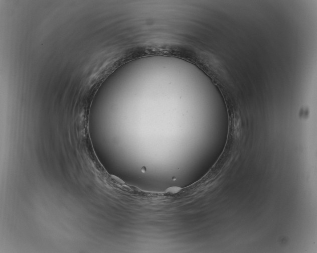X0000112061060200908041209