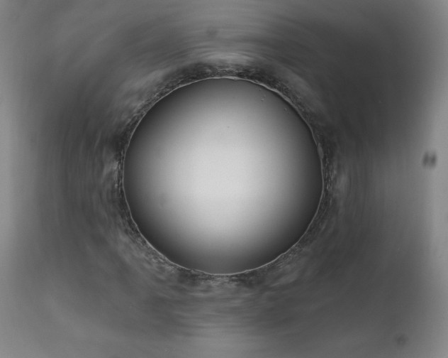X0000112061061200908041209