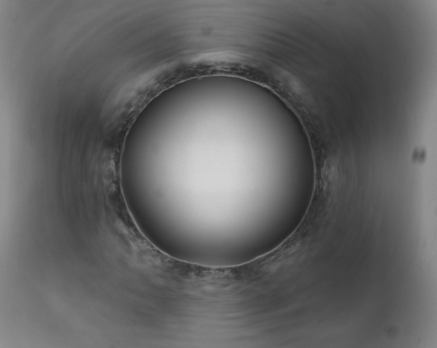 X0000112061062200908041209