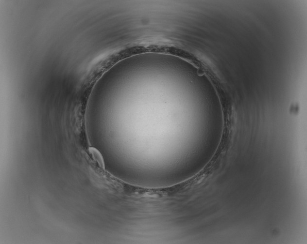 X0000112061063200908041209