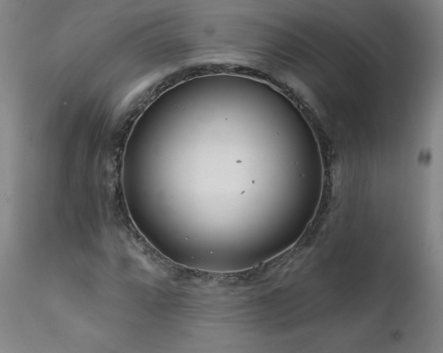 X0000112061064200908041209