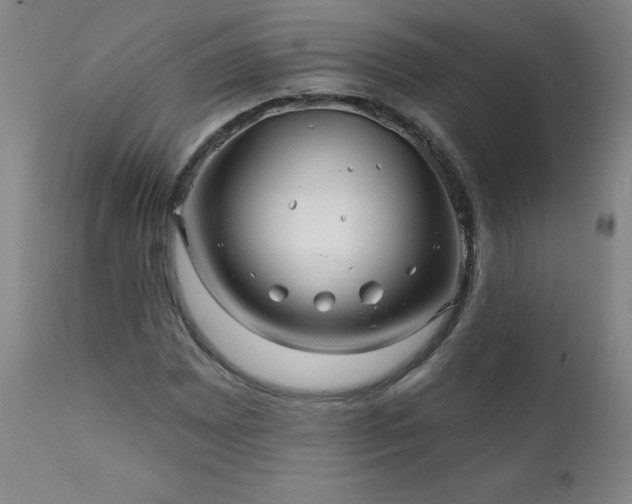 X0000112061065200908041209