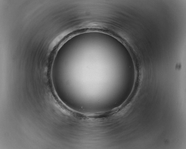 X0000112061066200908041209